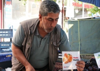 Diyarbakır’da dil mitingine çağrı