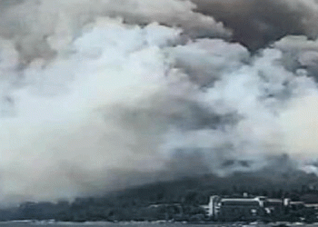 Marmaris’te orman yangını