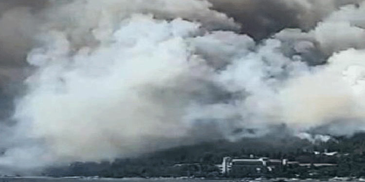 Marmaris’te orman yangını Marmaris’te orman yangını