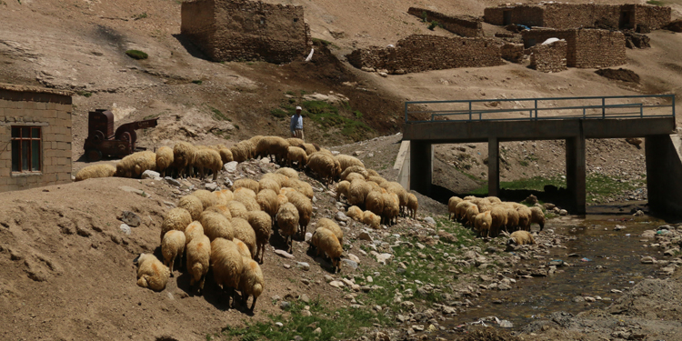 Mermer ocağı için ahırları yıkılanlar: Bu köy bizimdir Mermer ocağı için ahırları yıkılanlar: Bu köy bizimdir