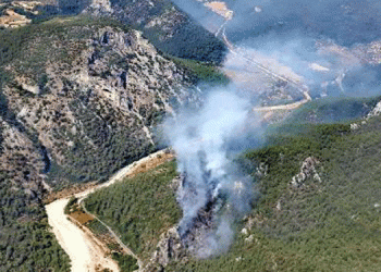 Milas’ta orman yangını