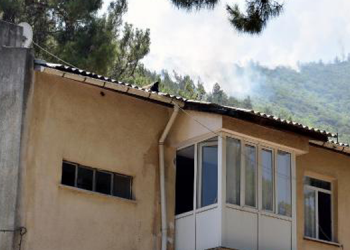 Muğla Ula’da orman yangını