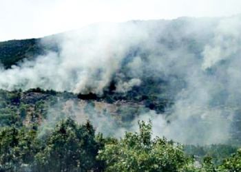 Elazığ ve Diyarbakır’da orman yangını