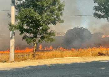 Silivri’de orman yangını