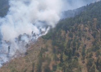 Sındırgı’da orman yangını