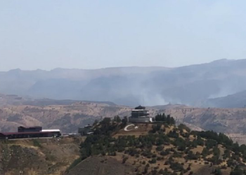 Şırnak’ta doğa katliamına ve operasyonlara karşı 2 günlük eylem