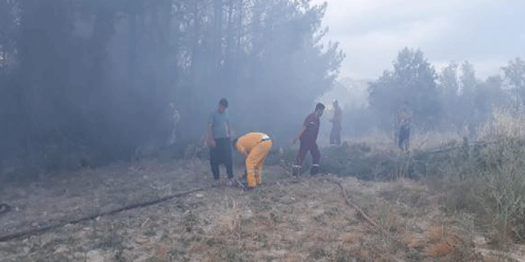 Sumbas’ta orman yangını Sumbas’ta orman yangını