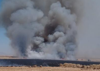 Sur’da tarla yangını