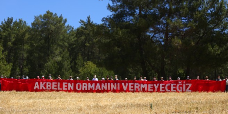 Akbelen’de asker eşliğinde ağaç kesimi başladı Akbelen’de asker eşliğinde ağaç kesimi başladı