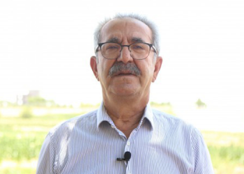 HDP’li eski vekil kaza yaptı