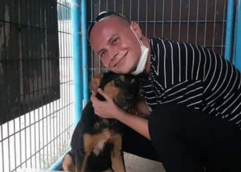 HAYKURDER Başkanı Paçalı: Bu hileli düzenleme daha çok şiddet getirecek