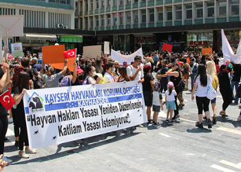 Hayvan Hakları Savunucuları Ankara’da bir araya geldi