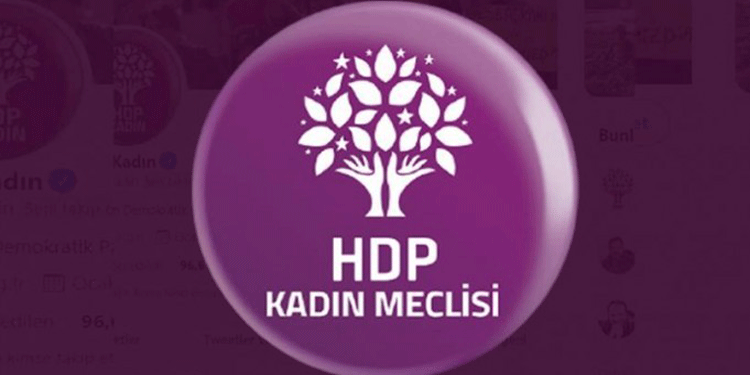 HDP’li kadınlardan Yüksekova açıklaması HDP’li kadınlardan Yüksekova açıklaması