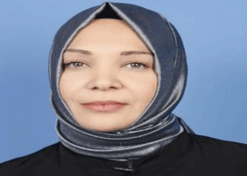 Hilal Kaplan’dan yazlık saraya 15 Temmuz’lu savunma