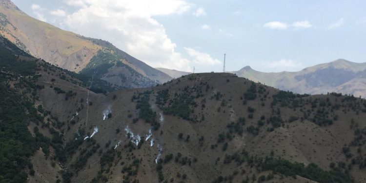 Askerler ormanlık alana rastgele gaz bombası attı
