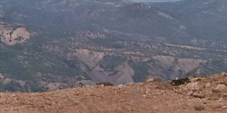 Besta’da yangın Besta’da yangın