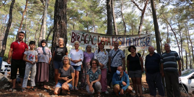 Akbelen’de direniş 9’uncu gününde Akbelen’de direniş 9’uncu gününde