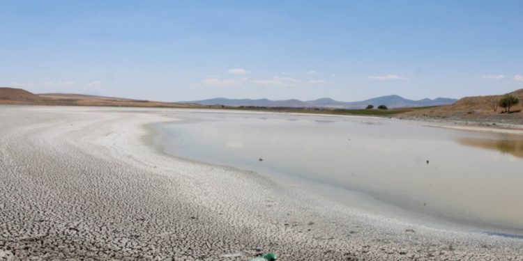 Baraj politikası Yalıntaş Göleti’ni kuruttu