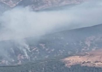 Şenyayla 7 gündür yanıyor