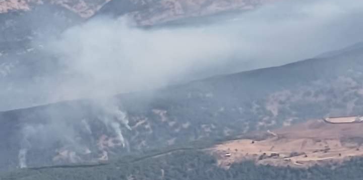 Şenyayla 7 gündür yanıyor Şenyayla 7 gündür yanıyor