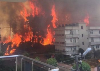 HDP MYK: Ormana, doğaya yönelik düşmanca politikalar asla kabul edilemez