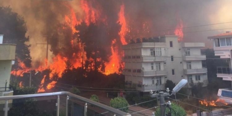 HDP MYK: Ormana, doğaya yönelik düşmanca politikalar asla kabul edilemez HDP MYK: Ormana, doğaya yönelik düşmanca politikalar asla kabul edilemez