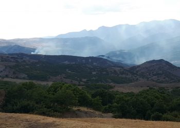 Askeri operasyon ardından ormanlık alanda yangın