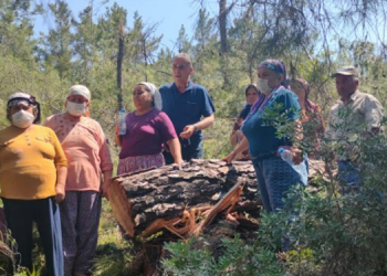 Akbelen Ormanı’nda keşif kararı