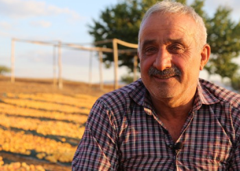 Kayısı yetiştiricileri: Fiyat farkına kanmayın, organik tüketin