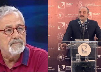 Bakan Varank, Profesör Görür’ü hedef aldı