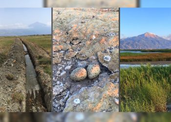 Milleyha Kuş Cenneti için çağrı