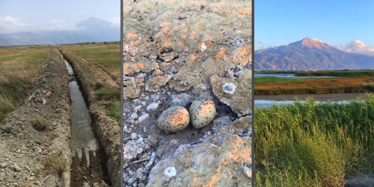 Milleyha Kuş Cenneti için çağrı