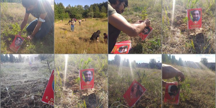 ODTÜ’de 33 düş yolcusu anısına ‘Suruç Bahçesi’ oluşturuldu ODTÜ’de 33 düş yolcusu anısına ‘Suruç Bahçesi’ oluşturuldu