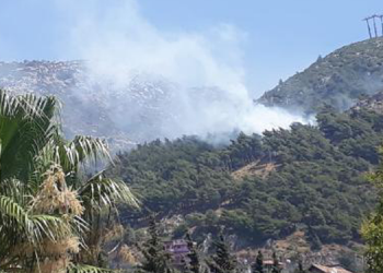 Antakya’da orman yangını