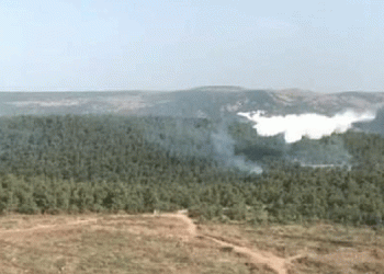 Bergama’da orman yangını