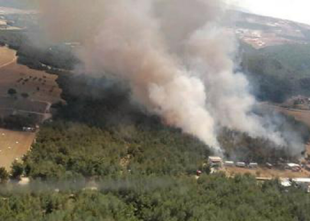 Bornova’da orman yangını