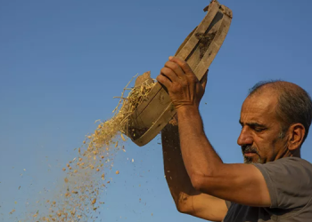 Danıştay, çiftçiye verilen destekten alınan verginin kaldırılmasına karar verdi