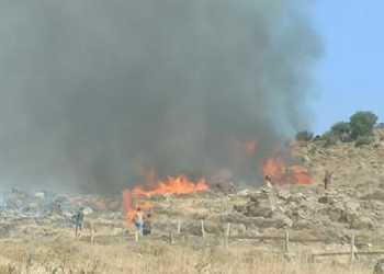 Dikili’de makilik yangını