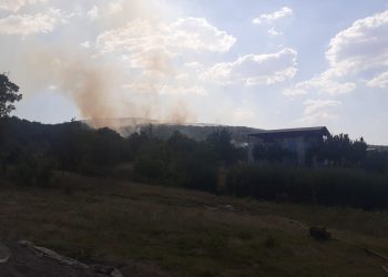 Lice’deki orman yangını yerleşim yerlerine doğru ilerliyor