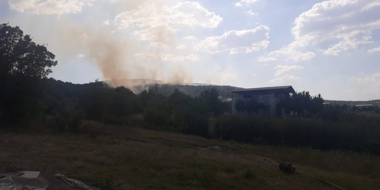 Lice’deki orman yangını yerleşim yerlerine doğru ilerliyor