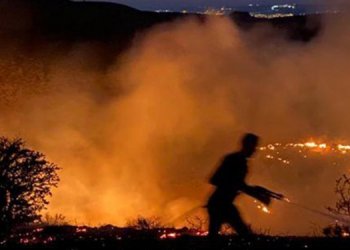 Elazığ’da orman yangını
