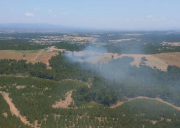 Ezine’de orman yangını