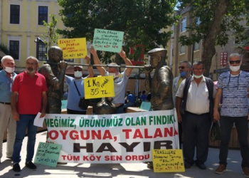 Fındık yetiştiricisi: Taban fiyatın 35 TL olsun