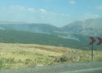 Geliyê Bilûr’da orman yangını