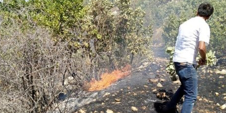 Gercüş’teki yangın kontrol altına alındı Gercüş’teki yangın kontrol altına alındı