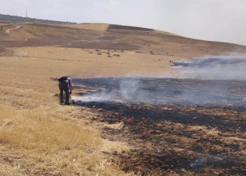 Güçlükonak-İdil ilçe sınırında yangın