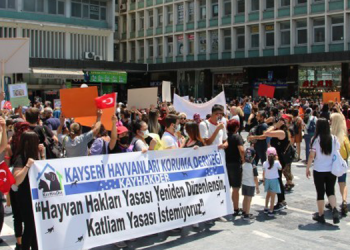 Hayvan hakları savunucularından Ankara’da eylem