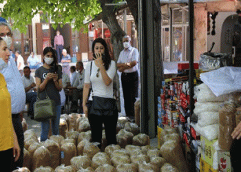 HDP’den tütüncülere ziyaret