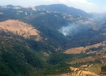 İzmir’de orman yangını