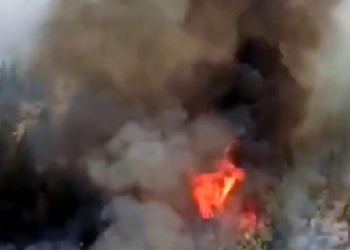 Kahramanmaraş’ta orman yangını